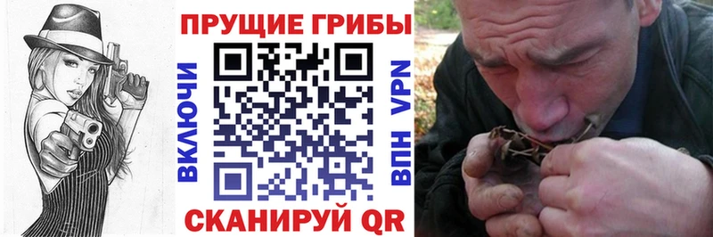 Галлюциногенные грибы мухоморы  Лукоянов 